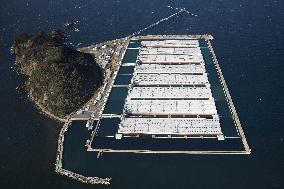 Japan to dip into petroleum reserves amid Middle East crisis