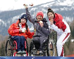 Milan Cortina Paralympics: Alpine skiing
