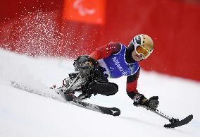 Milan Cortina Paralympics: Alpine skiing