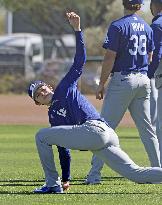 Baseball: MLB spring training