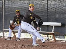 Baseball: MLB spring training