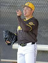 Baseball: MLB spring training