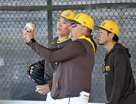 Baseball: MLB spring training