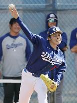 Baseball: MLB spring training