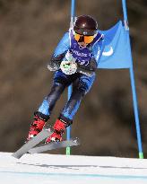 Milan Cortina Paralympics: Alpine skiing