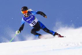 Milan Cortina Paralympics: Alpine skiing