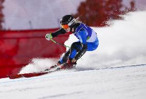 Milan Cortina Paralympics: Alpine skiing