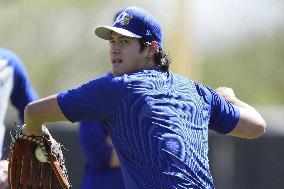 Baseball: MLB spring training