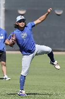 Baseball: MLB spring training