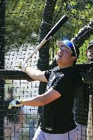 Baseball: MLB spring training