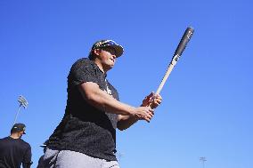 Baseball: MLB spring training