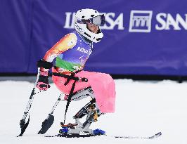 Milan Cortina Paralympics: Alpine skiing