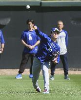 Baseball: MLB spring training