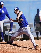 Baseball: MLB spring training