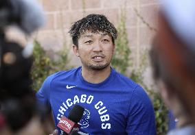 Baseball: MLB spring training