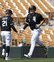 Baseball: MLB spring training