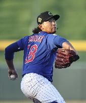 Baseball: MLB spring training