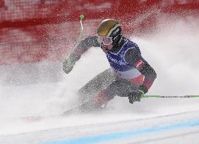Milan Cortina Paralympics: Alpine skiing