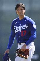 Baseball: MLB spring training