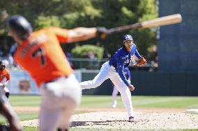 Baseball: MLB spring training