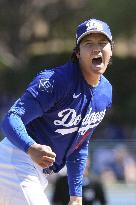 Baseball: MLB spring training