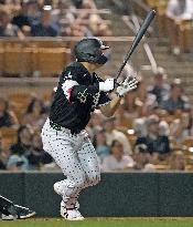 Baseball: MLB spring training