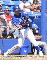 Baseball: MLB spring training