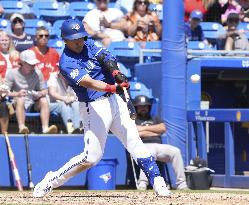 Baseball: MLB spring training