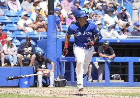 Baseball: MLB spring training