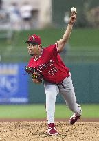 Baseball: MLB spring training