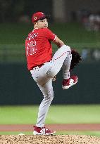 Baseball: MLB spring training