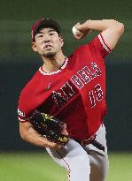 Baseball: MLB spring training