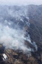 Wildfire in Gunma Pref.