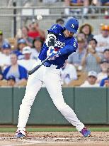 Baseball: MLB spring training game