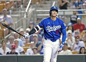 Baseball: MLB spring training game