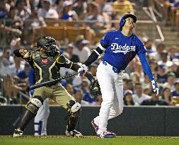 Baseball: MLB spring training game