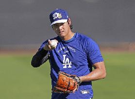 Baseball: MLB spring training