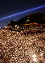 Kiyomizu temple lit up in Kyoto