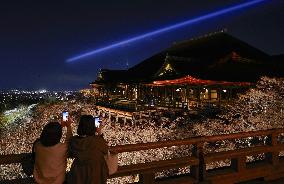 Kiyomizu temple lit up in Kyoto