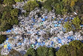 Cherry blossoms at Yoyogi Park
