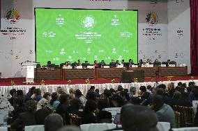 WTO ministerial meeting in Cameroon