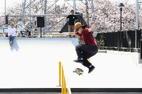 Renovated skateboarding park in Kanagawa Pref.