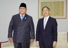 Emperor meets with Indonesian president