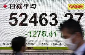 Tokyo stocks plunge