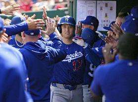 Baseball: Dodgers vs. Nationals