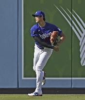 Baseball: Dodgers vs. Mets