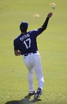 Baseball: Dodgers vs. Mets