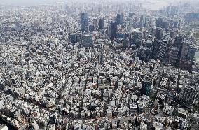 View of central Tokyo