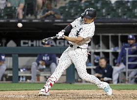 Baseball: Rays vs. White Sox