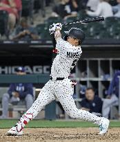 Baseball: Rays vs. White Sox